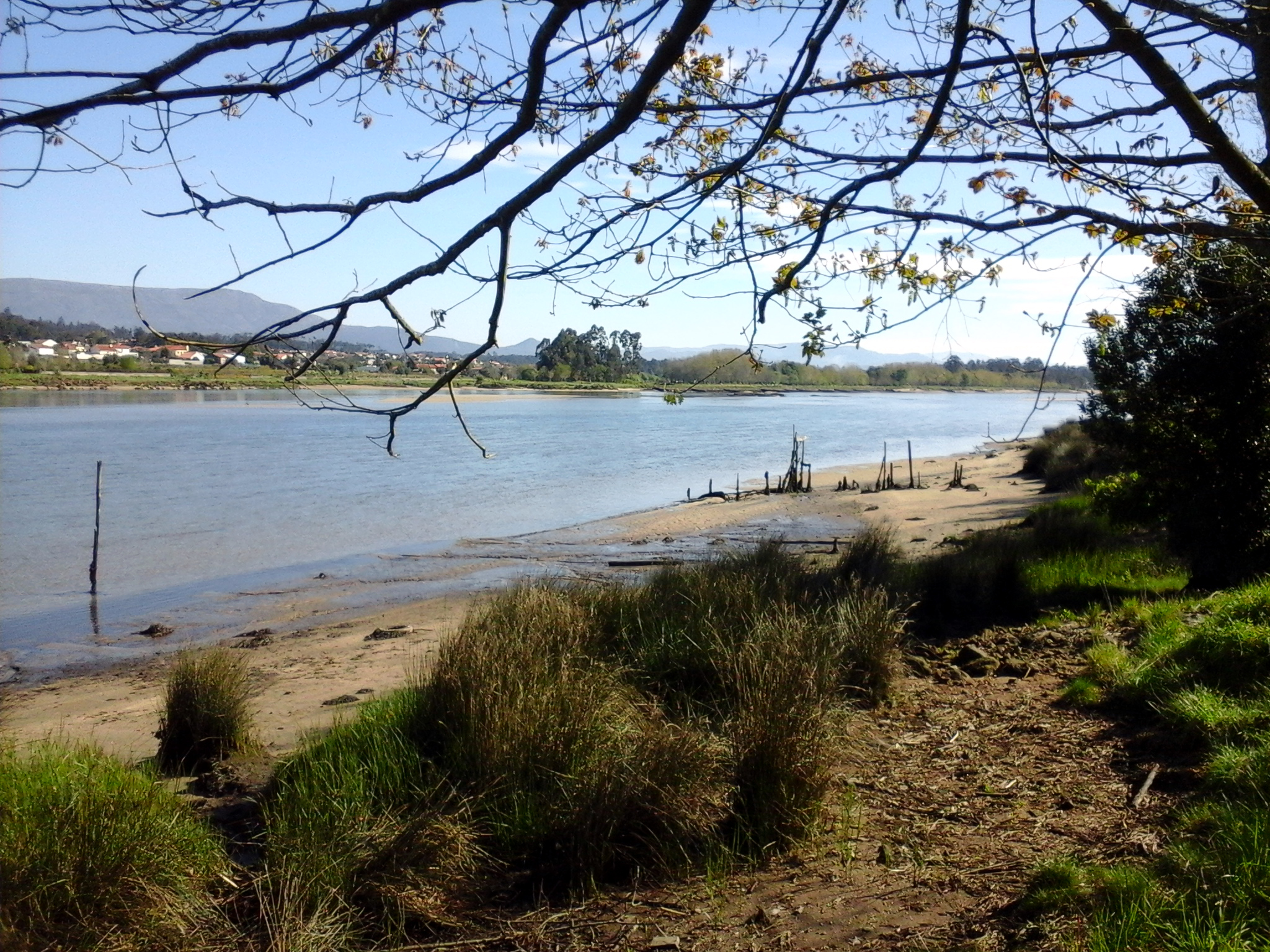 rio_lima