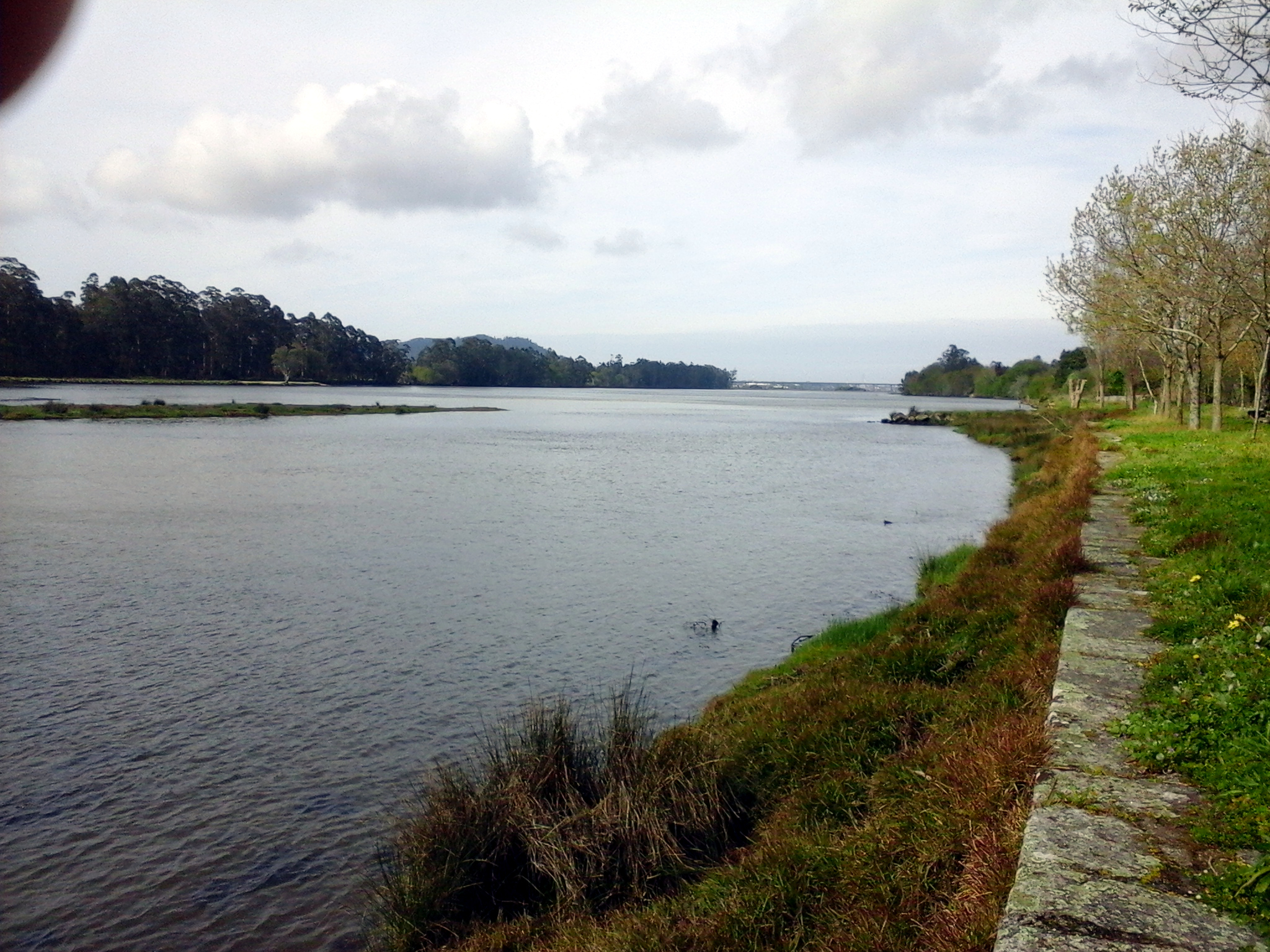 rio_lima_5_