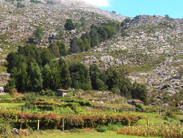 slm_paisagem_34