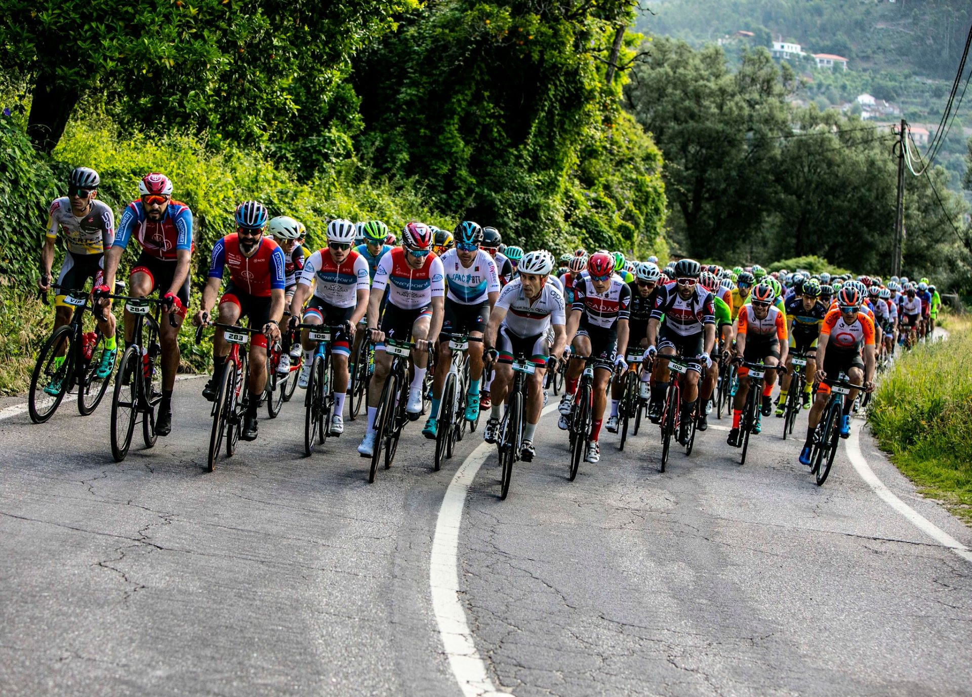 Viana Granfondo