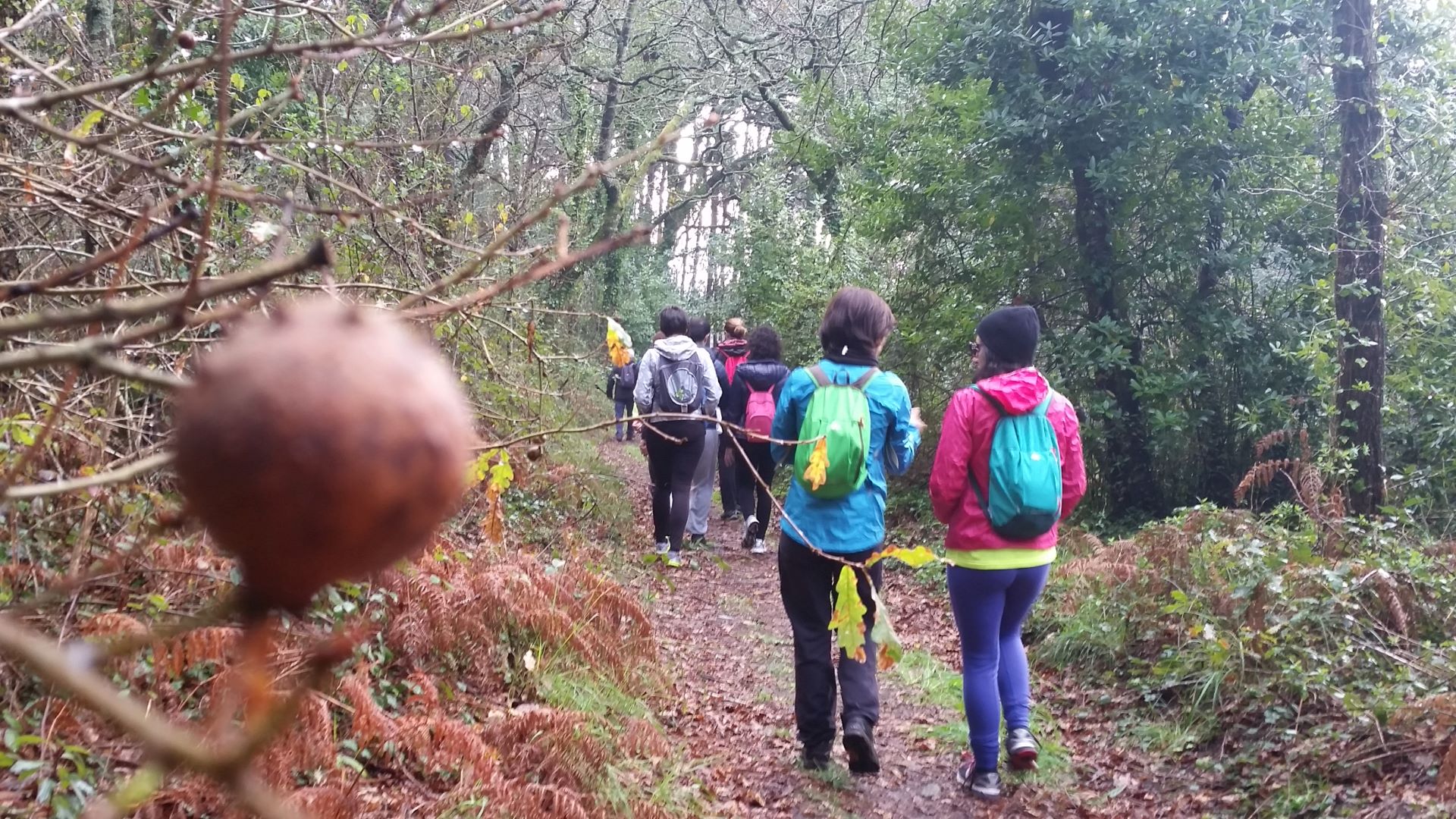 Caminhada “Passos de Memória” / Caminhos de Santiago – Caminho Português da Costa