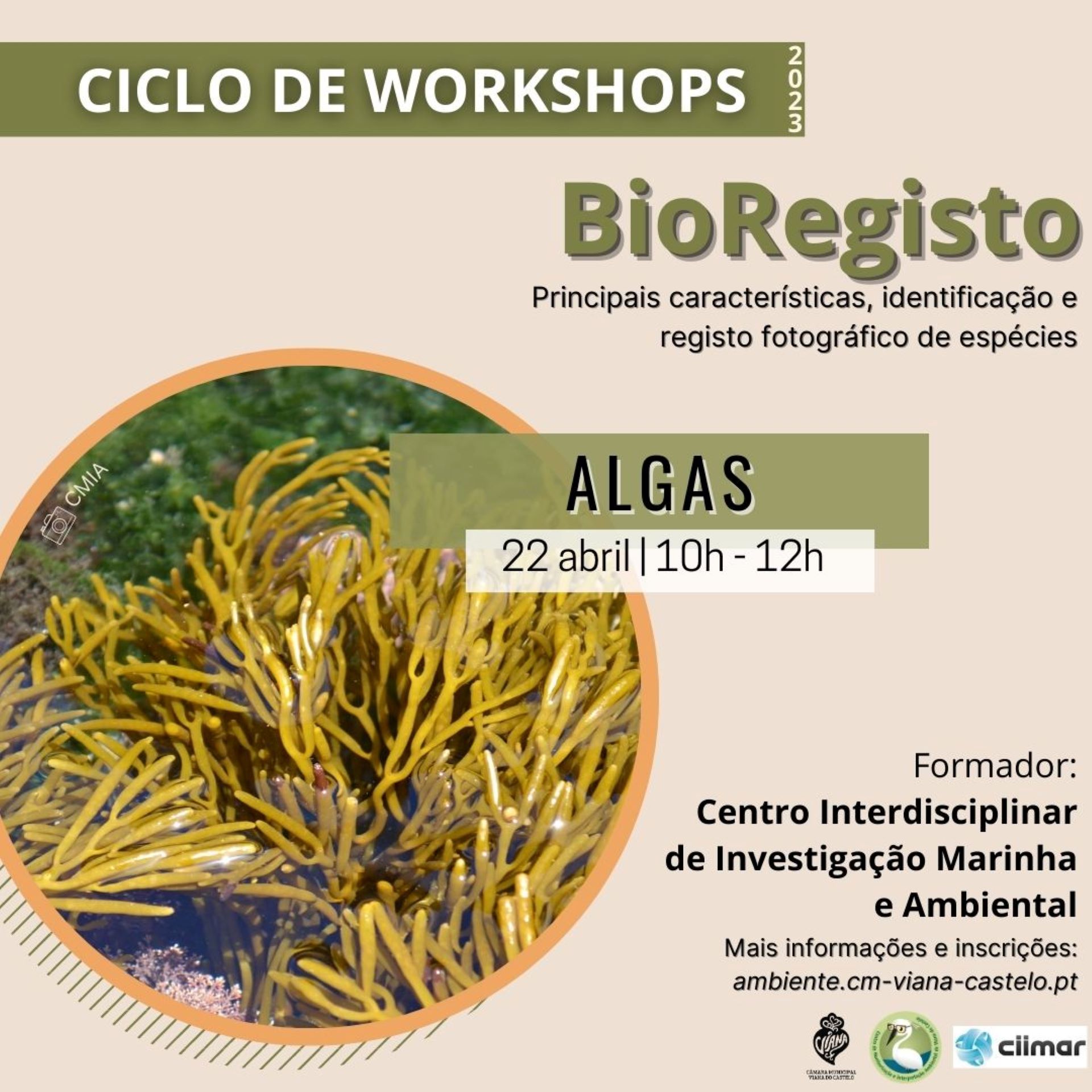 Workshop Bioregisto – Algas