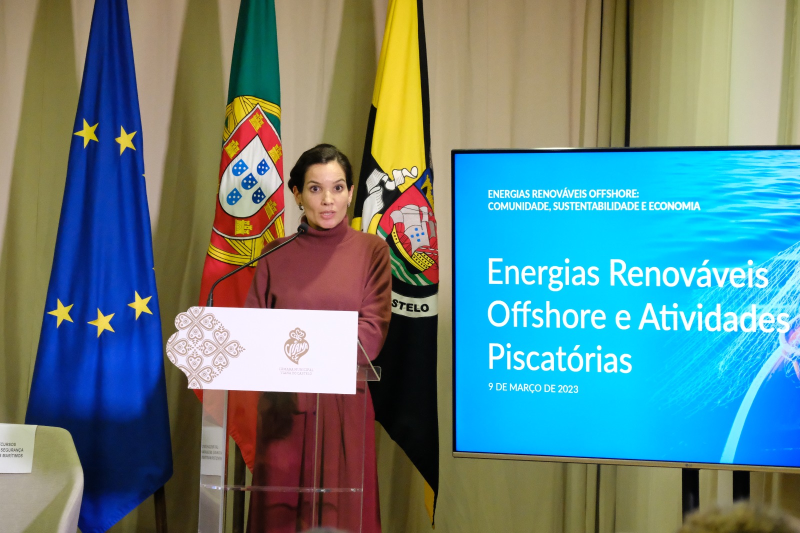 seminario energias renovaveis offshore (7)