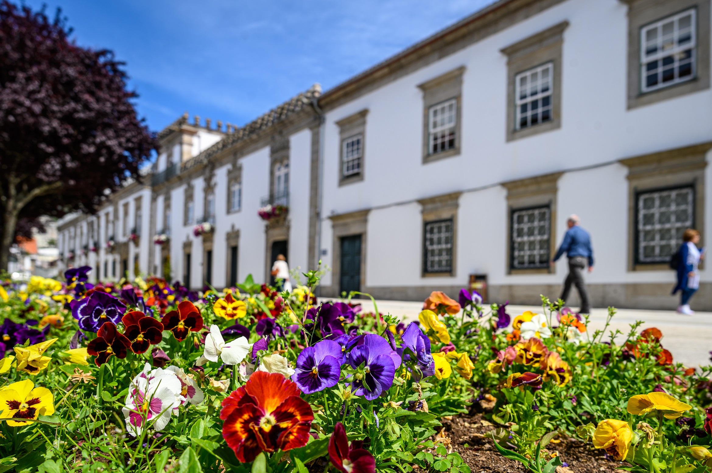 Relatório de Atividades e Prestação de Contas de Viana do Castelo evidencia, pela primeira vez, Educação como prioridade