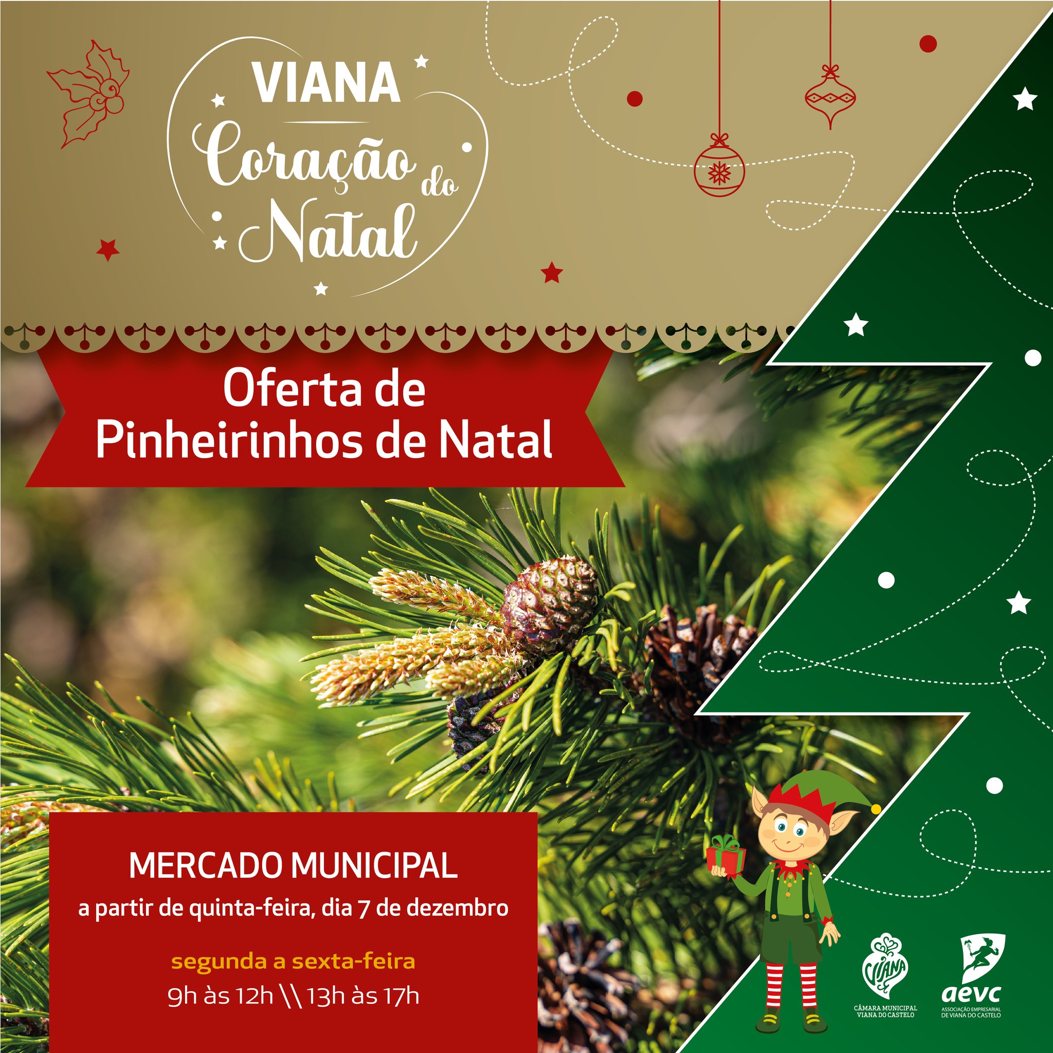pinheiros natal 2023