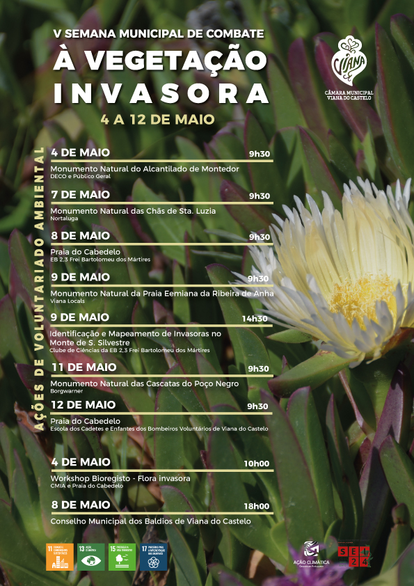 cartaz