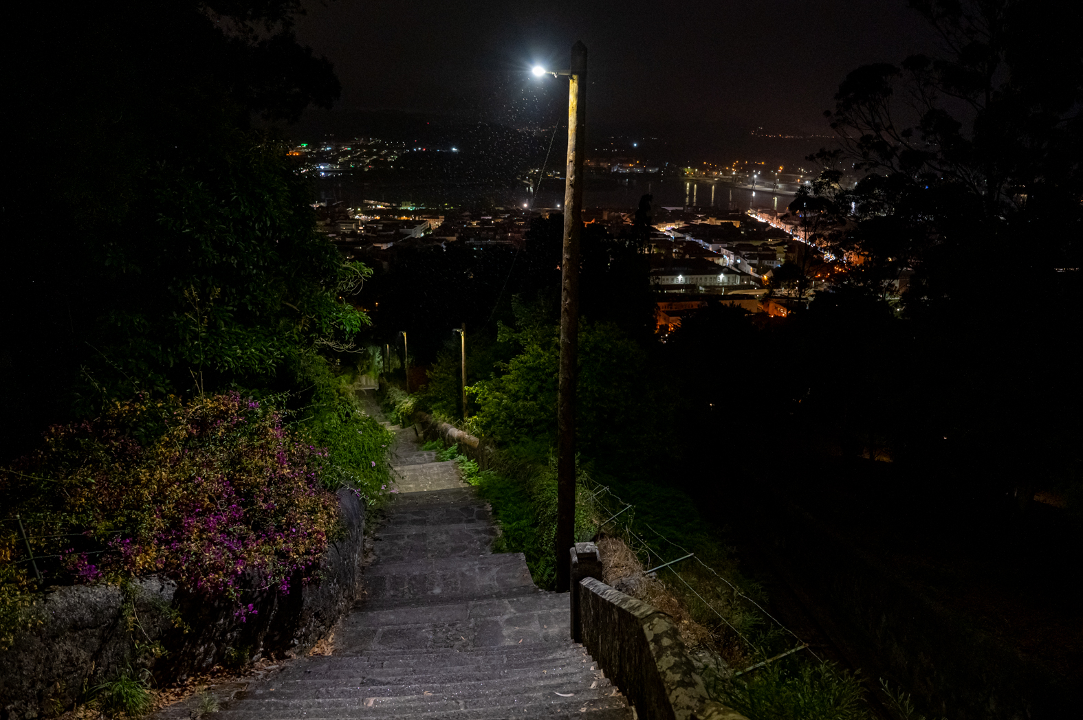 GCI_8605