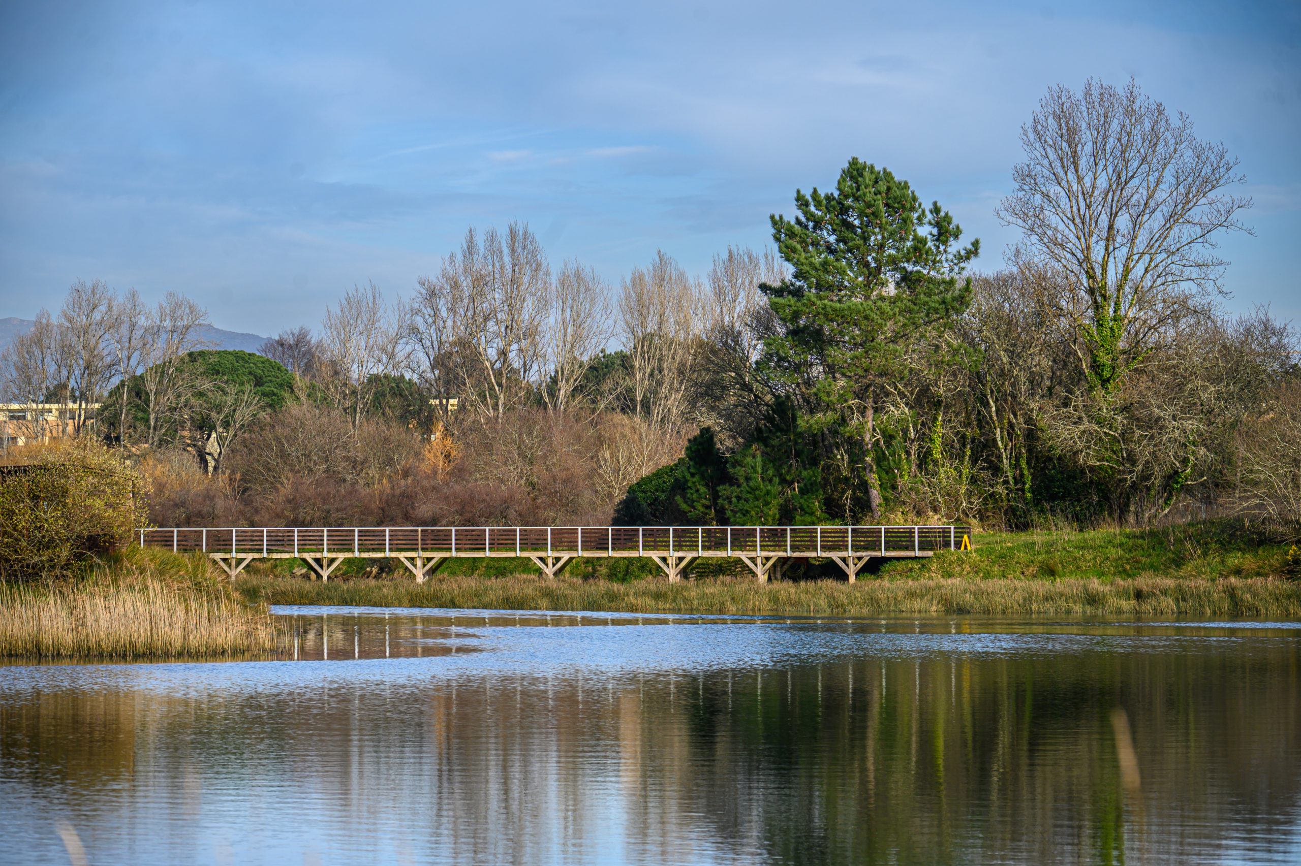 Parque da cidade